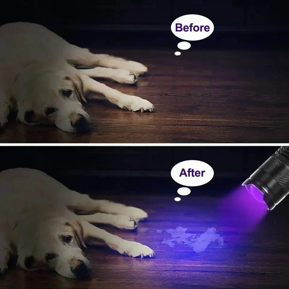 Noctra™ - Compact Handheld UV Light For Stain Detection