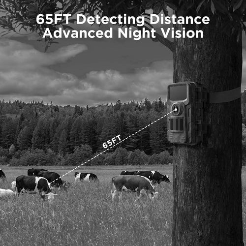Trailix™ - Discreet Day to Night Wildlife Monitoring