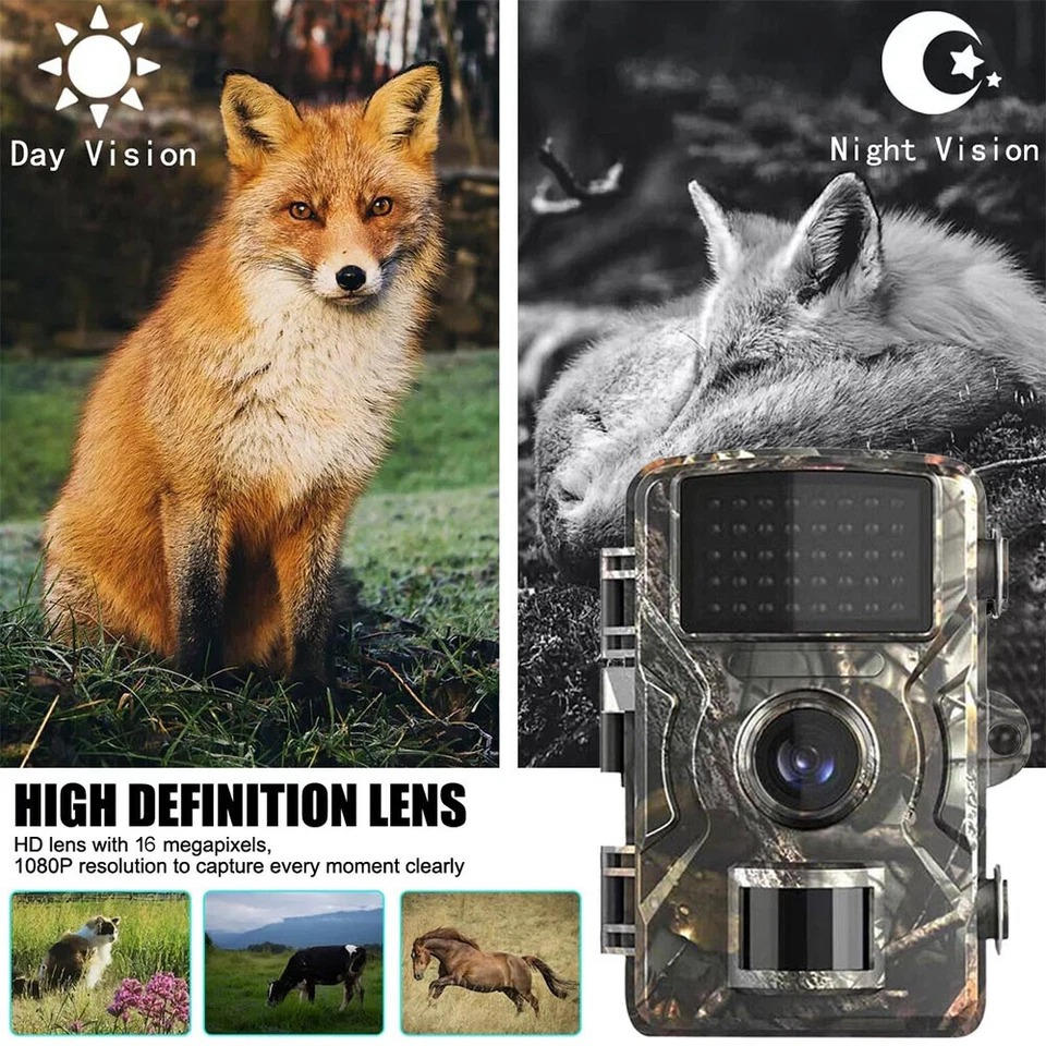 Trailix™ - Discreet Day to Night Wildlife Monitoring