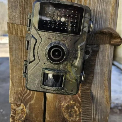 Trailix™ - Discreet Day to Night Wildlife Monitoring