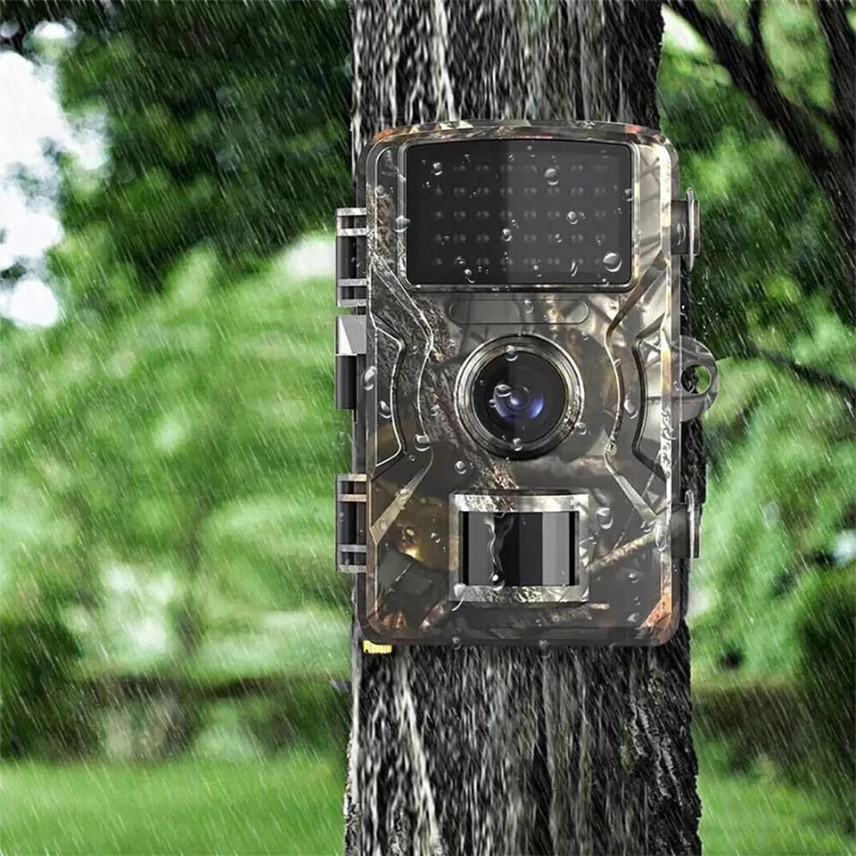 Trailix™ - Discreet Day to Night Wildlife Monitoring