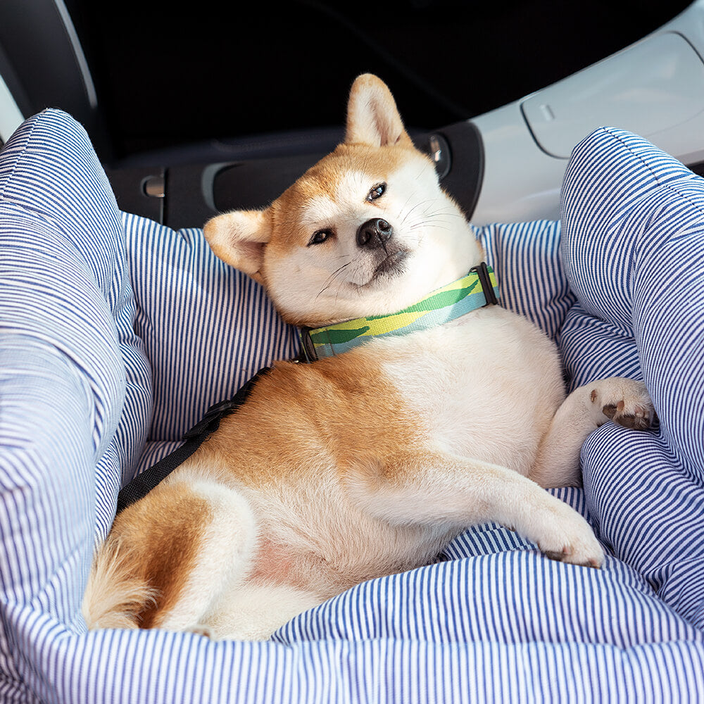 Roadly™ - Cozy Booster Seat for Secure Car Travel