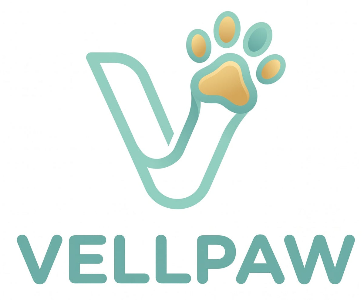 Vellpaw Pet Store logo featuring a stylized teal letter V with a paw print inside, above the text 'VELLPAW PET STORE' on a light gray background.