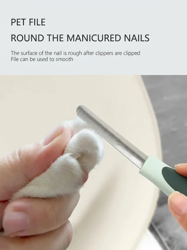 Vellpaw AquaCare Folding Cup