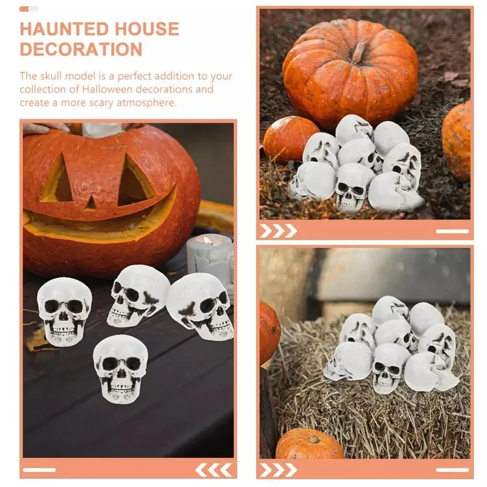 Noctis™ - Matched Mini Skulls for Tabletop Accents