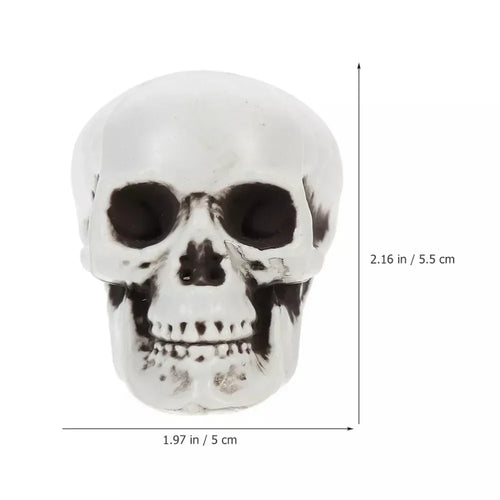Noctis™ - Matched Mini Skulls for Tabletop Accents