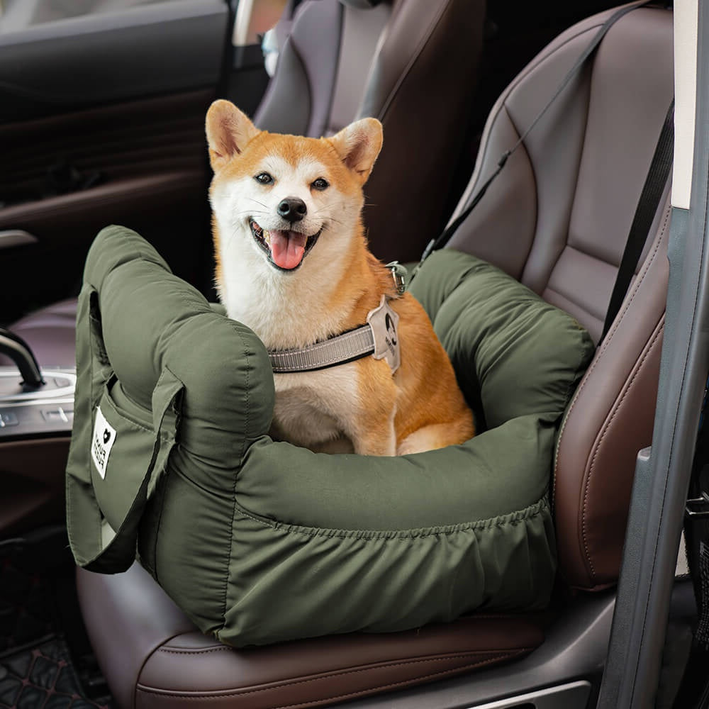 Vellpaw horizontal mirror · batch 1 · SHA-256 33c291b2991482a6d880f76b949827f5067891108a009e1b4f18c7550a771da2